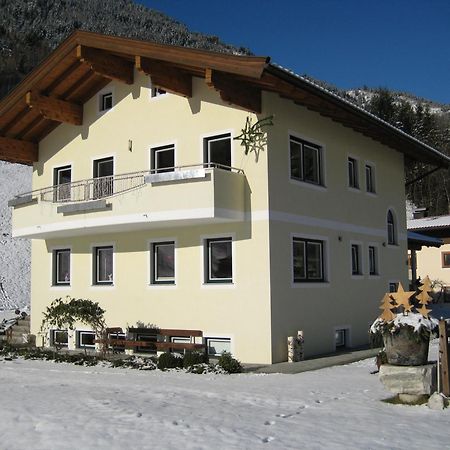 Appartement Ronacher Mittersill Dış mekan fotoğraf