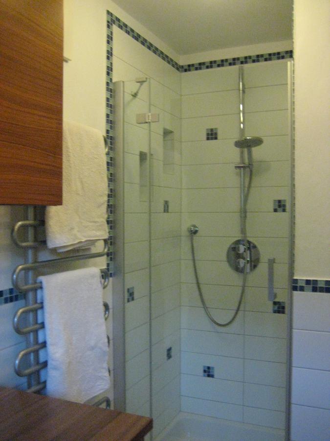Appartement Ronacher Mittersill Dış mekan fotoğraf