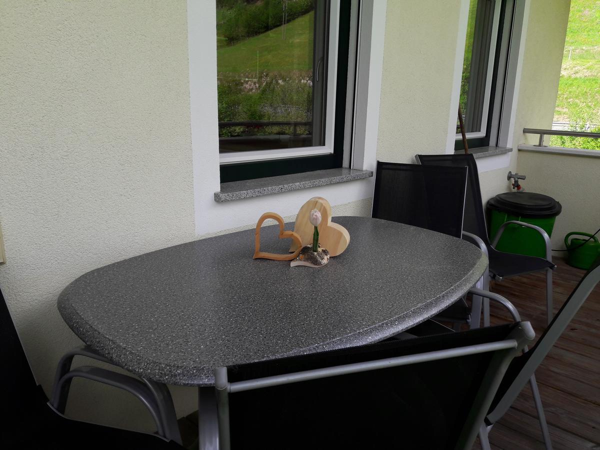 Appartement Ronacher Mittersill Dış mekan fotoğraf